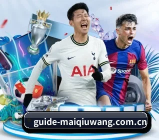 guide-maiqiuwang.com.cn APP 界面